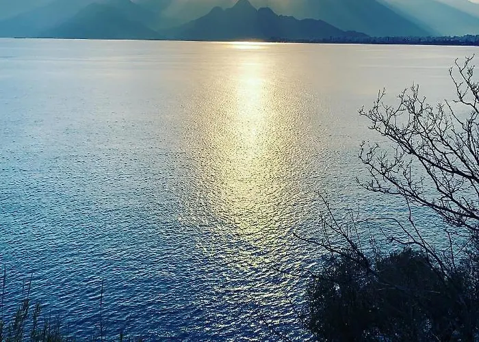 Cosy Flat In Old Town